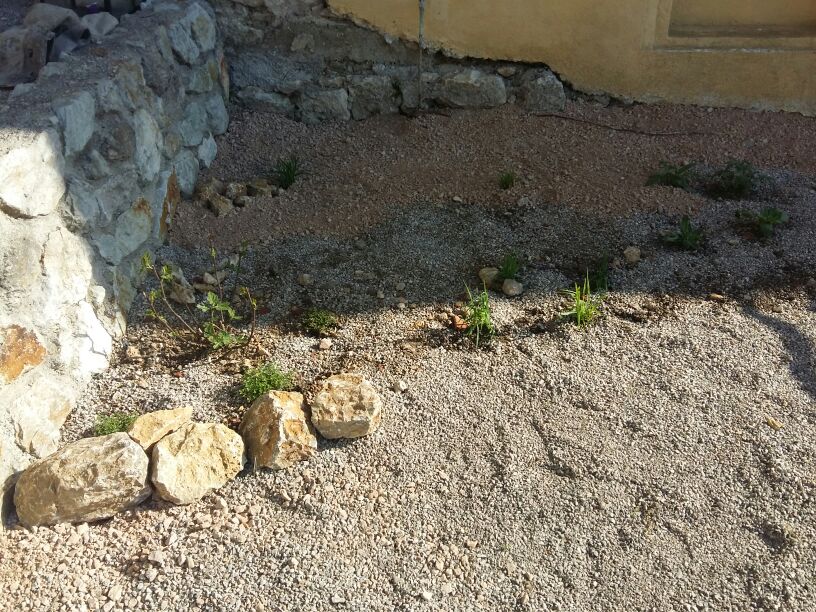 Neugestaltung des Platzes rund um die Bergkirche